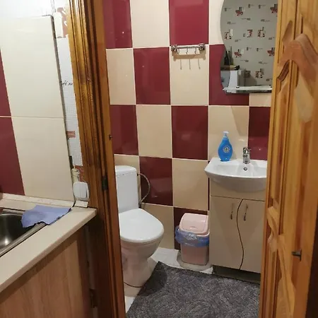 5 公寓 喀尔巴阡